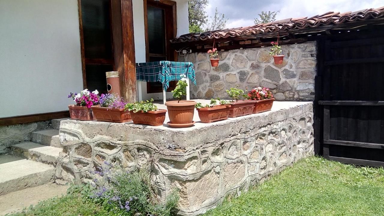 Дома для отпуска Villa Lyutovi Holiday Home Копривштица-7